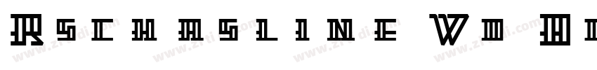 Rschasline Wd Bold字体转换